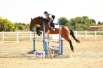 Class 9 - Senior British Novice - 90cm portfolio