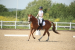 SBM_009481