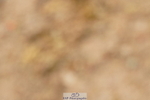 240317A-152450-07625
