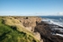 _DSC8039