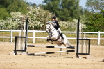SBM_007611