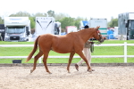 SBM_04439