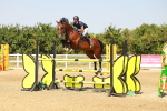 SBM_002193
