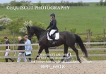 BPP_6918