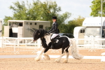 SBM_01646