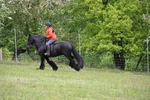 WJ6_1658