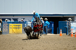 3HRodeo8-11-25_PRCASteer_05223_