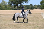 WJ6_8784