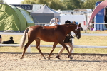 SBM_12815