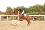 SBM_008484