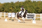 SBM_018274