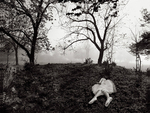 Rolling Down Hill