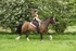 SPXX5312