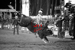 3HRodeo_PBR_TEAMS_JUL_2026_1796_BW