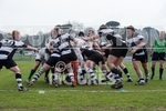 Rugby_Guernsey v Sutton  Epsom-1