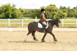 SBM_007678