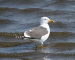 20110430-IMG_5192