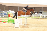 SBM_010154