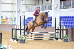 SBM_009313