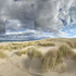 Outer Cape- Race Point, Provincetown