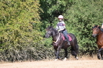 WJ6_7919