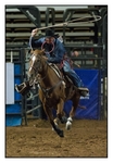 Calf Roping Feature