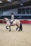 SBM_05375