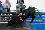 3HRodeo7-11-24_LJD_3HR2124_LJD