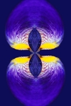 Iris Lantern