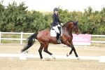 SBM_004269