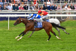 180523-Race 4-The Foxes-9715