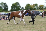 WJ6_6079