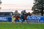 140826-Race 6-Recobella-1749