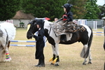 WJ6_9263