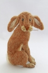 Bad Hare Day