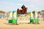 SBM_007331