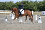 SBM_020229