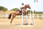 SBM_000556