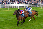 150526-Race 3-Warrant Holder-0182