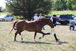 WJ6_4849