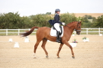 SBM_020004