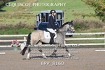 BPP_8160