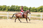 SBM_002372