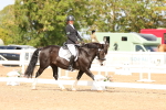 SBM_02054
