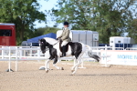 SBM_16734
