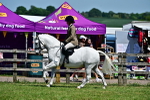 SBM_17474