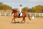 SBM_008797