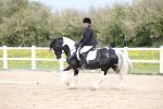 SBM_007270