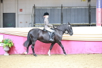 SBM_02163