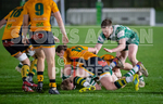 Guernsey Raiders v Bury St Edmonds-30